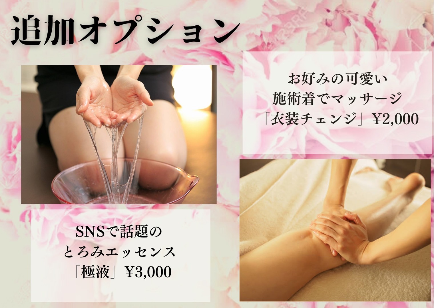 追加オプション